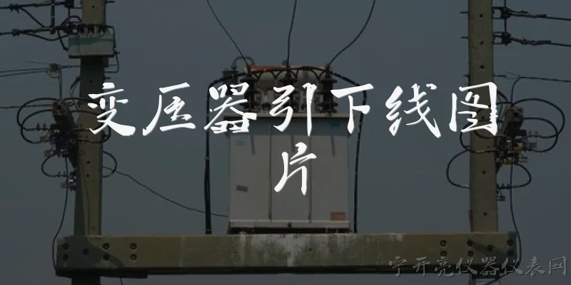 变压器引下线图片:变压器引下线在图片中通常呈现什么样子？ - 2026最新变压器问答知识盘点大全