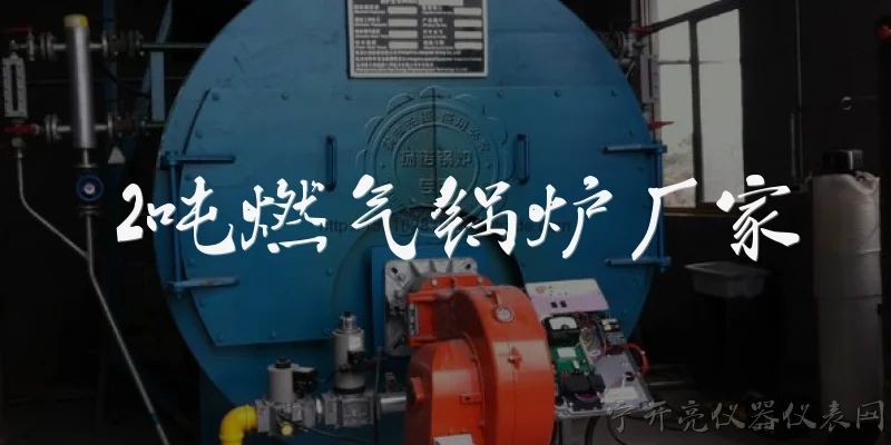 2吨燃气锅炉厂家:2吨燃气锅炉有哪些知名厂家？ - 2026最新厂家问答知识盘点大全