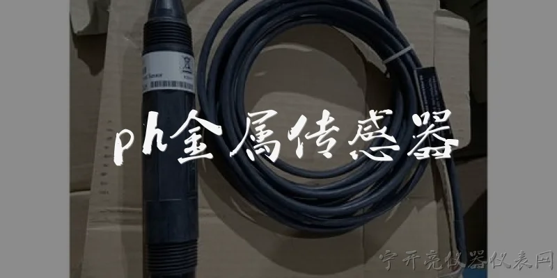 ph金属传感器:什么是pH金属传感器？