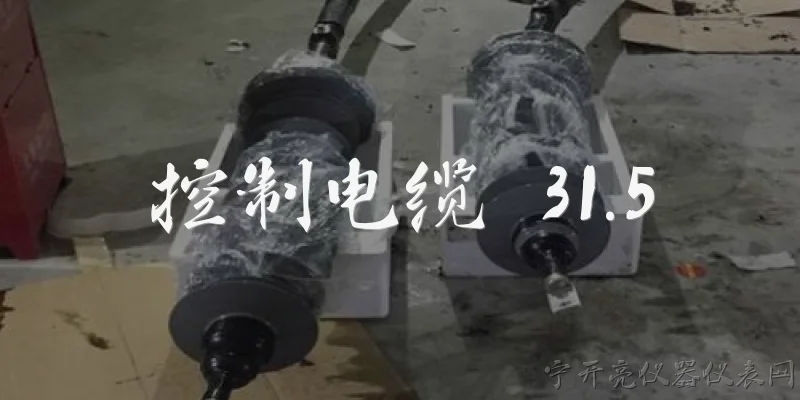 控制电缆 31.5