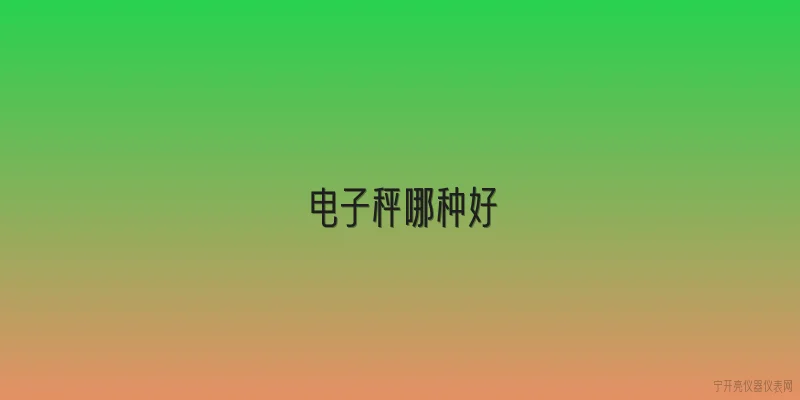 电子秤哪种好
