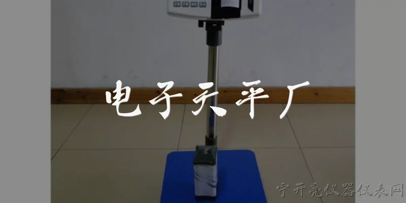 电子天平厂:2026年电子天平厂在智能化生产方面有哪些新突破？ - 2026最新电子问答知识盘点大全
