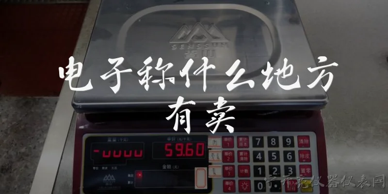 电子称什么地方有卖:电子秤在哪些实体店可以买到?