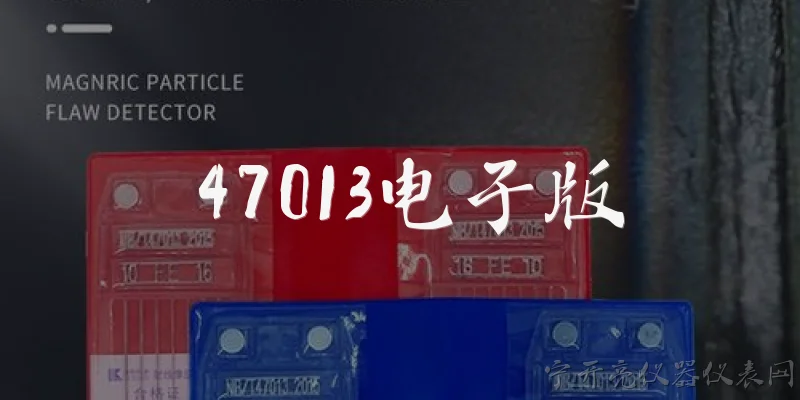 47013 Electronic Version