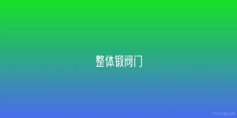整体锻阀门