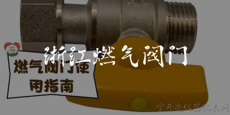浙江燃气阀门:浙江燃气阀门有哪些常见的品牌和厂家？