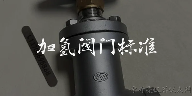 加氢阀门标准