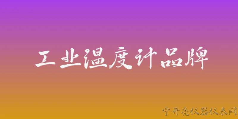 工业温度计品牌:工业温度计的主流品牌有哪些？ - 2026最新工业问答知识盘点大全