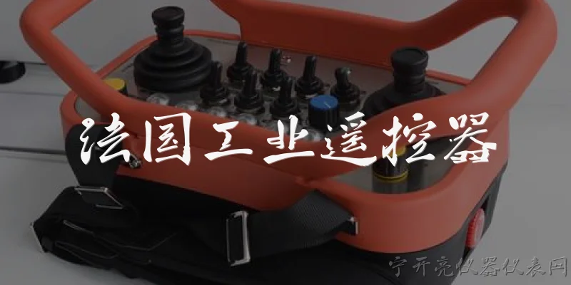 法国工业遥控器:法国工业遥控器的主要品牌有哪些？ - 2026最新工业问答知识盘点大全