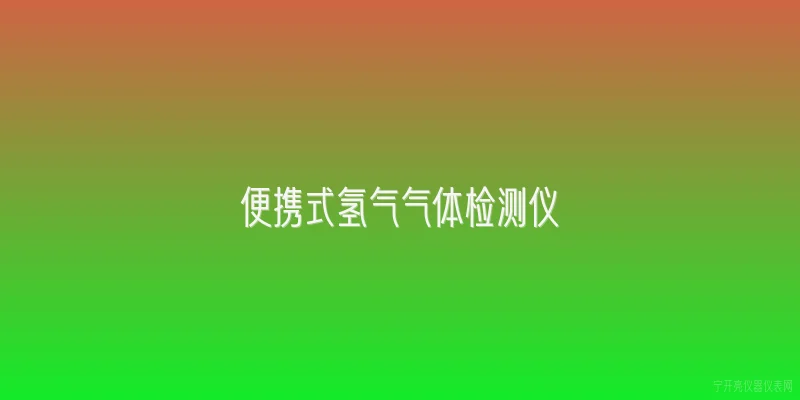 便携式氢气气体检测仪