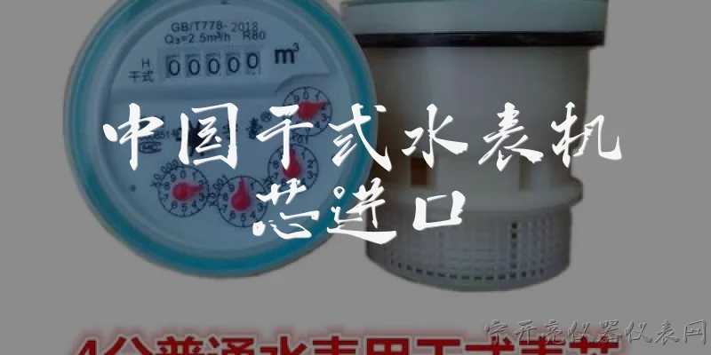 中国干式水表机芯进口:中国干式水表机芯进口的主要来源国有哪些？