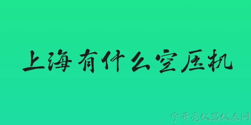 上海有什么空压机:2026年上海地区有哪些知名的空压机品牌和厂家？ - 2026最新空压机问答知识盘点大全