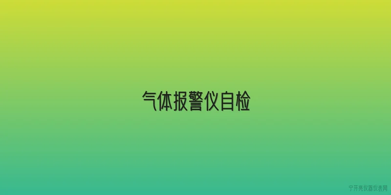 气体报警仪自检