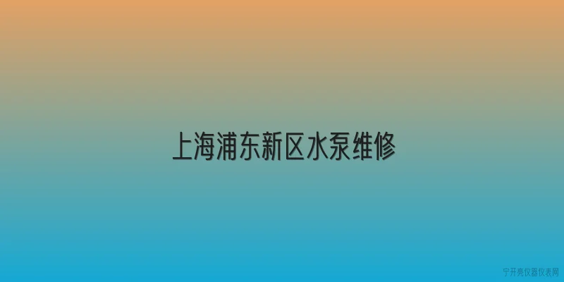 上海浦东新区水泵维修