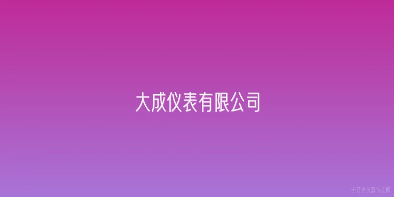 大成仪表有限公司