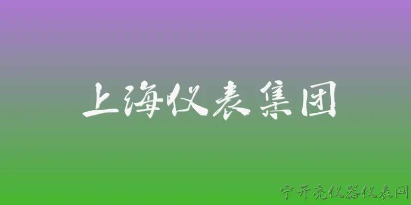 上海仪表集团:上海仪表集团是什么性质的企业？ - 2026最新仪表问答知识盘点大全