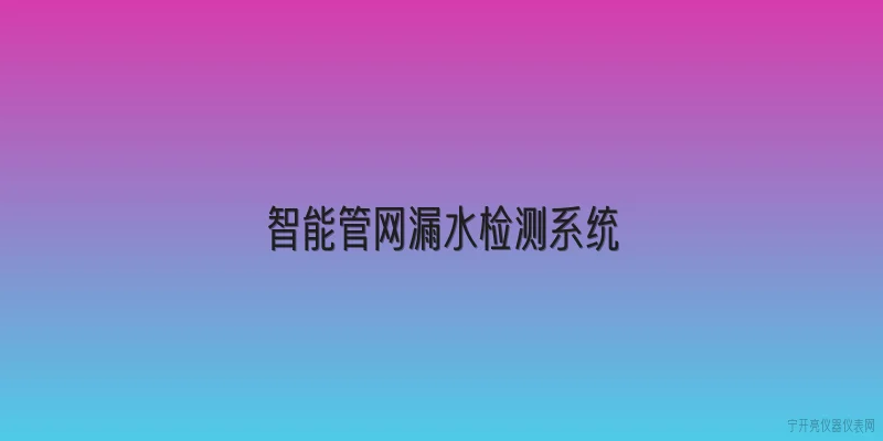 智能管网漏水检测系统