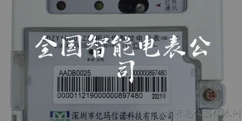 全国智能电表公司:全国智能电表公司有哪些主要企业?
