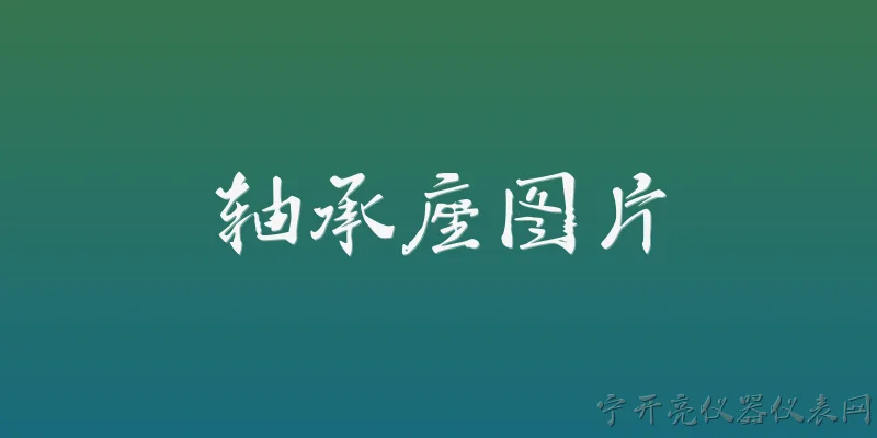 轴承座图片:轴承座图片通常展示哪些结构特征？